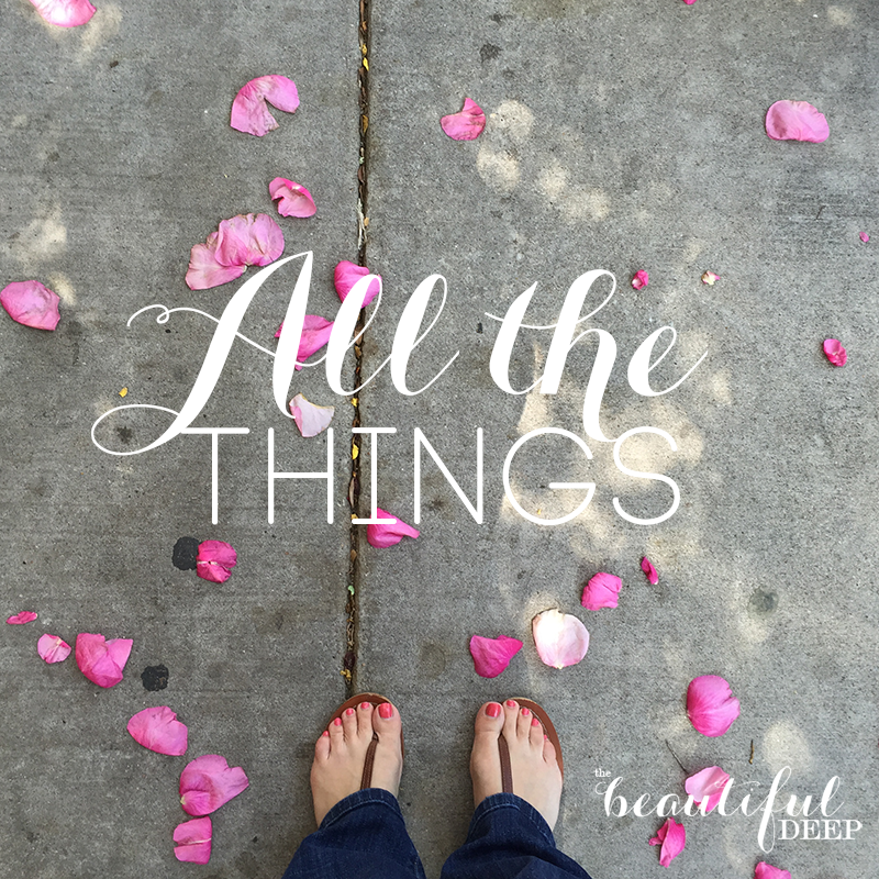 All the Things - The Beautiful Deep